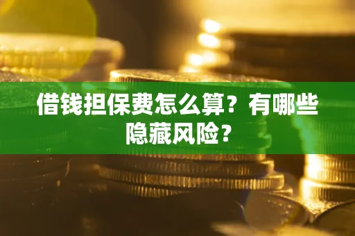 武汉借钱担保费怎么算？有哪些隐藏风险？