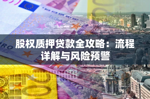 武汉股权质押贷款全攻略：流程详解与风险预警