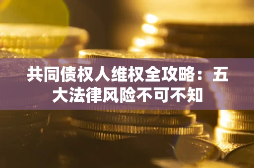 武汉共同债权人维权全攻略：五大法律风险不可不知