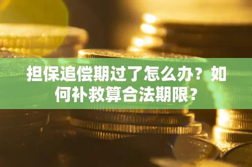 武汉担保追偿期过了怎么办？如何补救算合法期限？