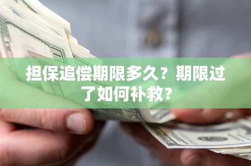 武汉担保追偿期限多久？期限过了如何补救？