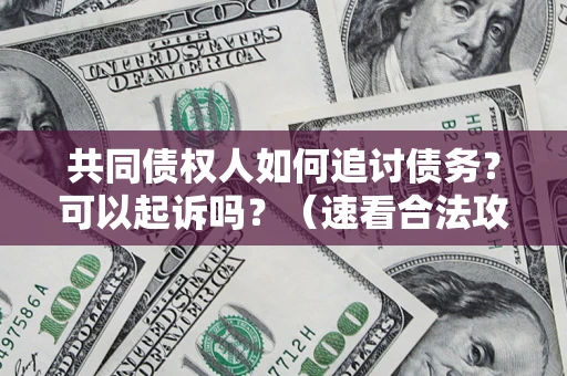 武汉共同债权人如何追讨债务？可以起诉吗？（速看合法攻略）