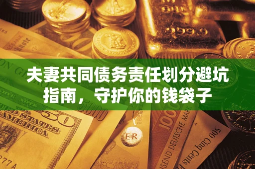 武汉夫妻共同债务责任划分避坑指南，守护你的钱袋子