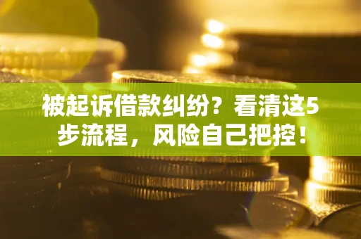 武汉被起诉借款纠纷？看清这5步流程，风险自己把控！
