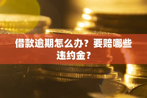武汉借款逾期怎么办？要赔哪些违约金？