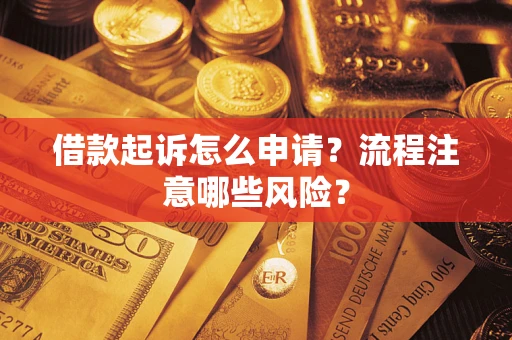 武汉借款起诉怎么申请？流程注意哪些风险？